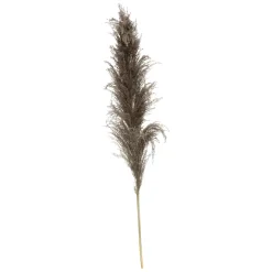 ATMOSPHERA 3 fleurs séchées "Pampa brune" Clearance