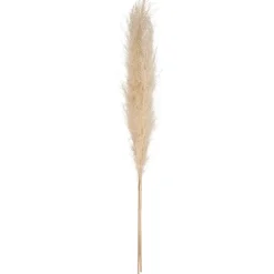 ATMOSPHERA 3 fleurs séchées "Pampa naturelle" Discount