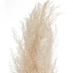 ATMOSPHERA 3 fleurs séchées