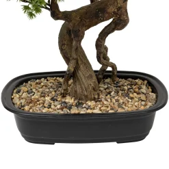 ATMOSPHERA Bonsaï artificiel en pot 