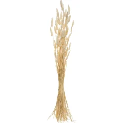 ATMOSPHERA Bouquet de plantes séchées Clearance