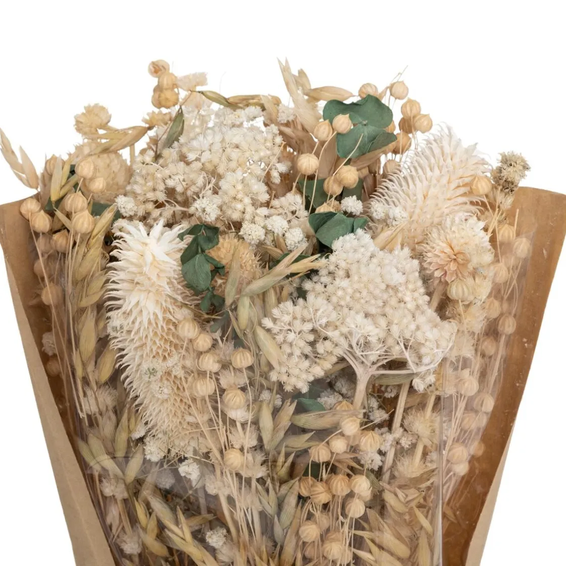 ATMOSPHERA Bouquet fleurs séchées "Chardon" Hot