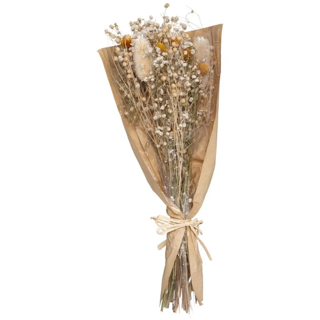 ATMOSPHERA Bouquet fleurs séchées "Chardon" Hot