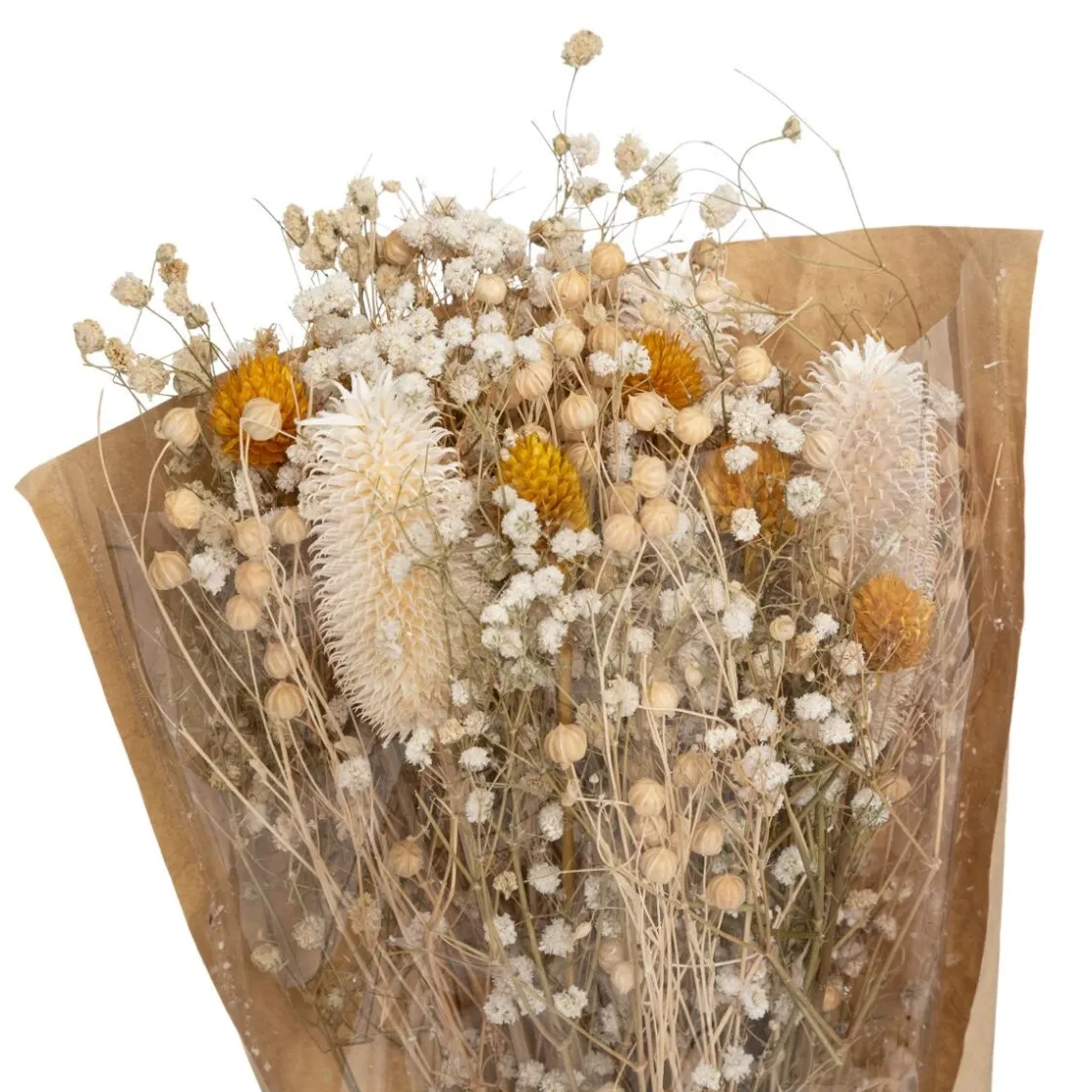 ATMOSPHERA Bouquet fleurs séchées "Chardon" Hot