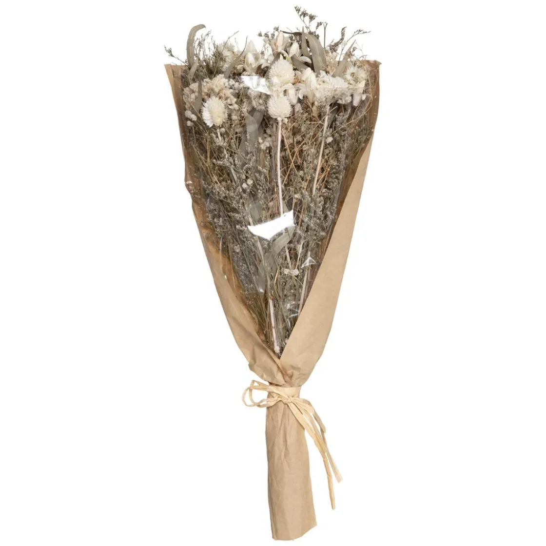 ATMOSPHERA Bouquet fleurs séchées "Eucalyptus" New