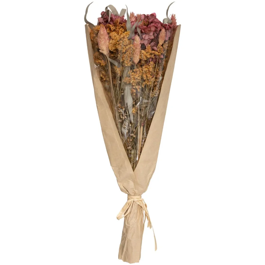 ATMOSPHERA Bouquet fleurs séchées "Eucalyptus" New