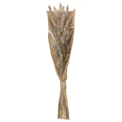 ATMOSPHERA Bouquet fleurs séchées "Ori" Best