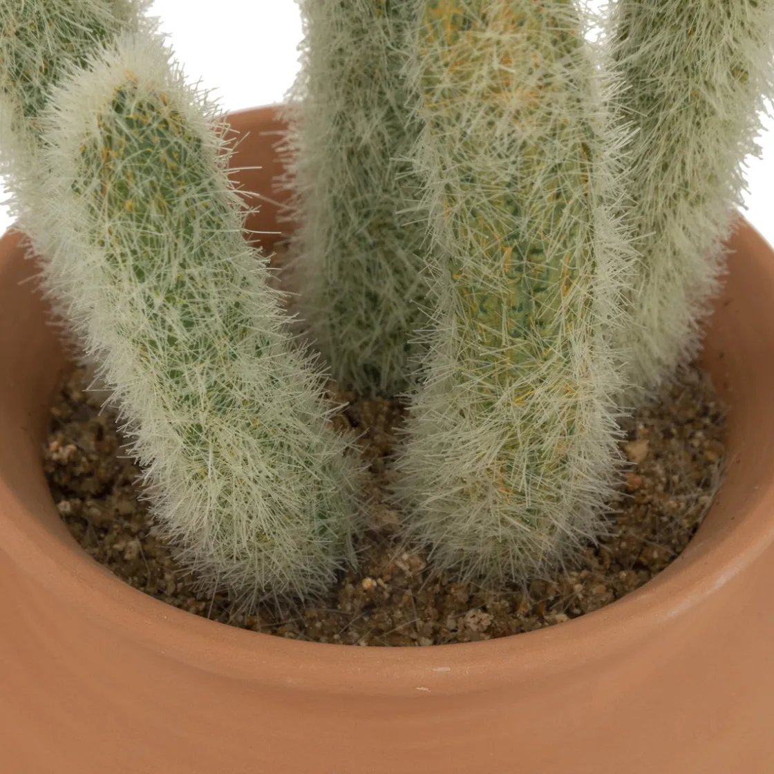 ATMOSPHERA Cactus artificiel "Ali", H16,5 cm Sale