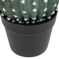 ATMOSPHERA Cactus rond