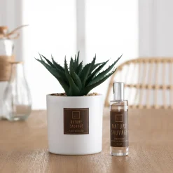 ATMOSPHERA Coffret senteur "Cactus"