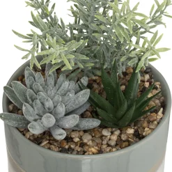 ATMOSPHERA Composition plantes Best