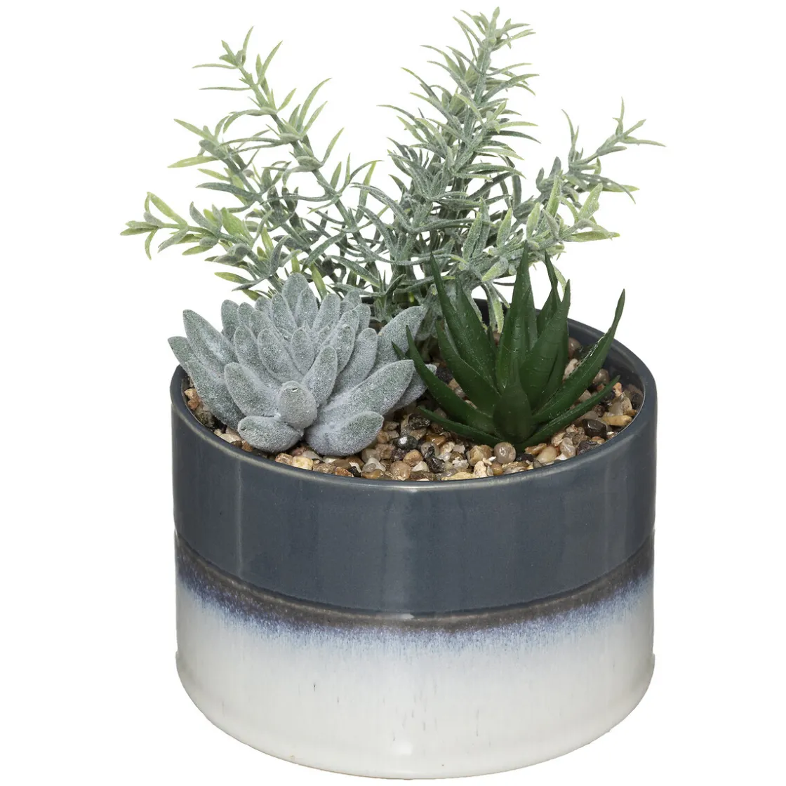 ATMOSPHERA Composition plantes Best