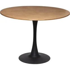 ATMOSPHERA Ensemble table à manger "Elias" + 4 chaises "Trecia"