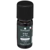 ATMOSPHERA Huile essentielle Hot
