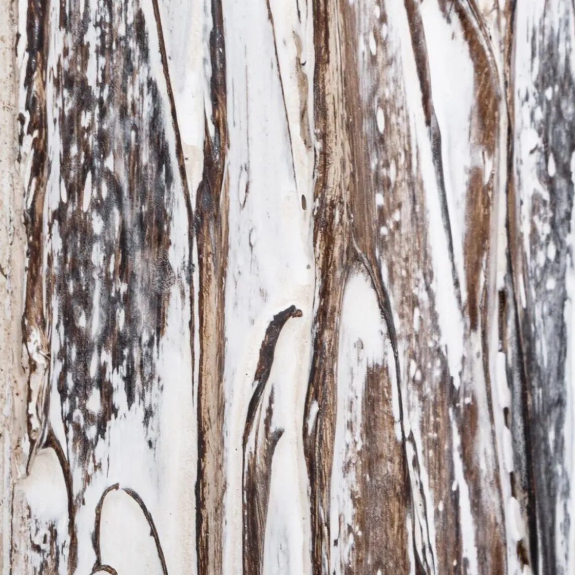 ATMOSPHERA Miroir en bois à relief "Leo" New