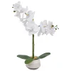 ATMOSPHERA Orchidée artificielle "Clera" Outlet