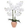 ATMOSPHERA Orchidée artificielle "Dena" Discount