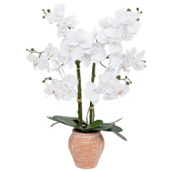 ATMOSPHERA Orchidée artificielle "Dena" Discount