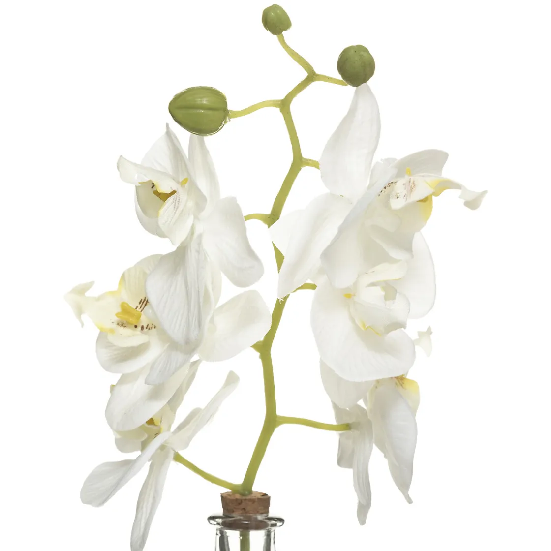 ATMOSPHERA Orchidée artificielle "Edi" avec vase Outlet