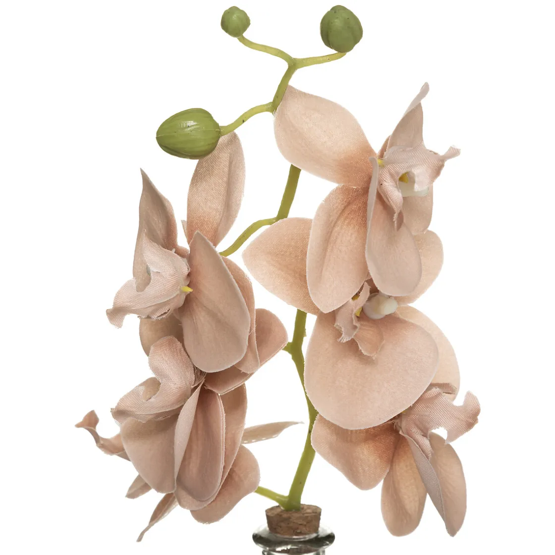 ATMOSPHERA Orchidée artificielle "Edi" avec vase Outlet