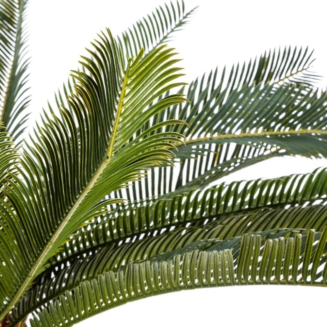 ATMOSPHERA Plante ananas artificielle Discount
