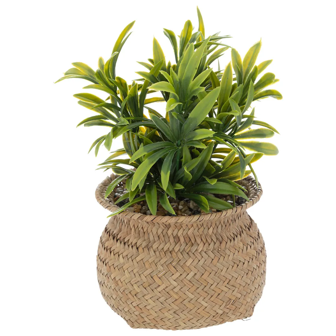 ATMOSPHERA Plante artificielle Best