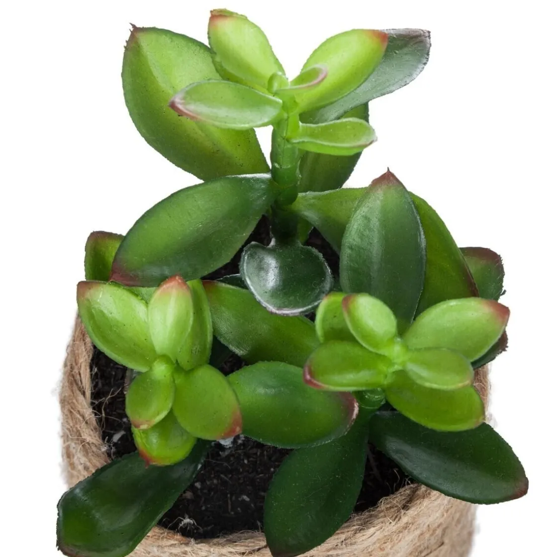 ATMOSPHERA Plante artificielle Hot