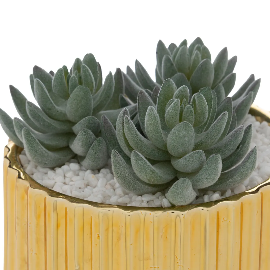 ATMOSPHERA Plante artificielle Clearance