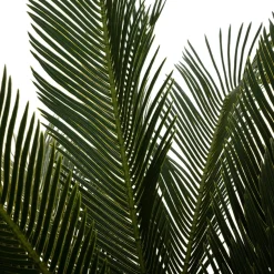 ATMOSPHERA Plante artificielle