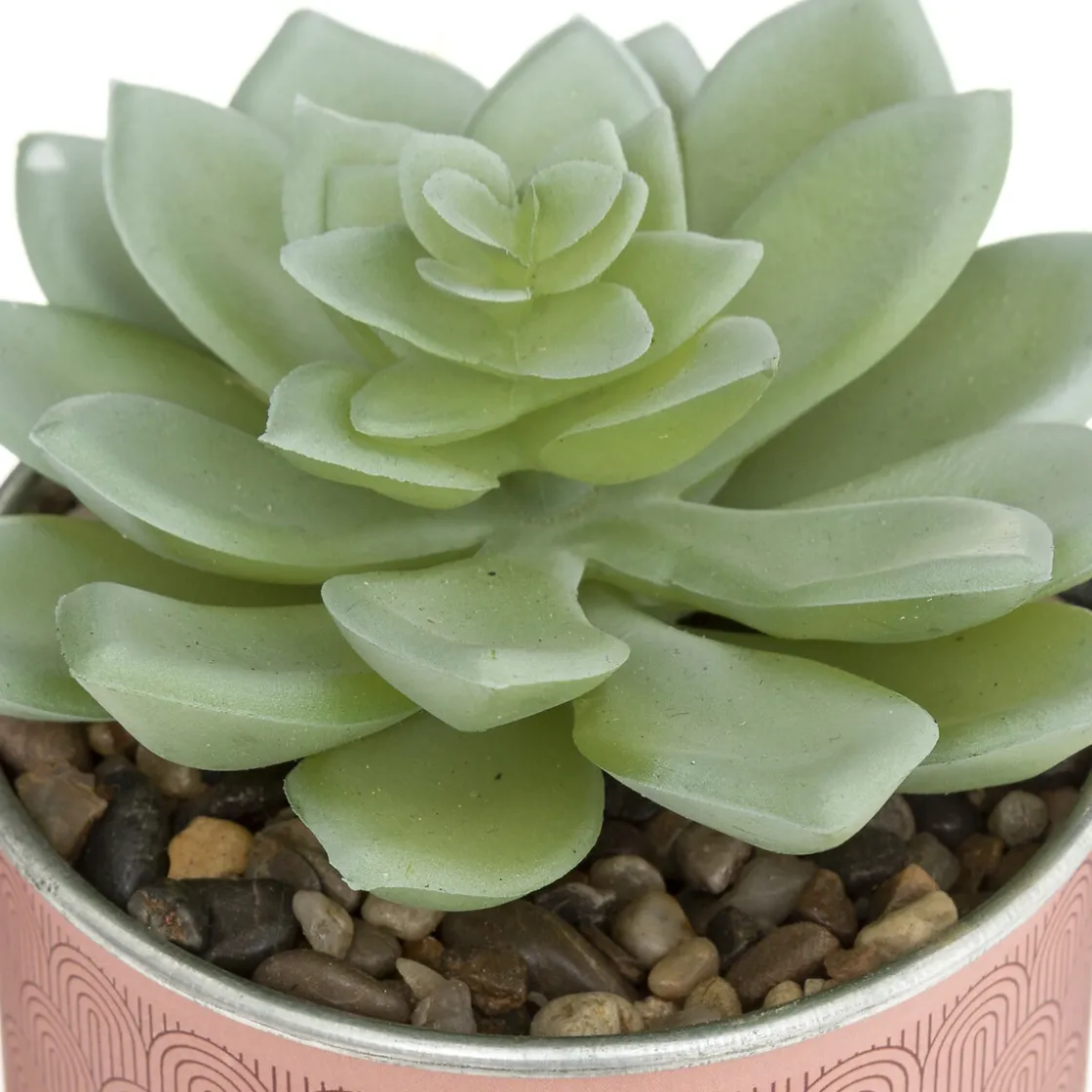 ATMOSPHERA Plante artificielle "Message" en pot Best