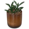 ATMOSPHERA Plante artificielle, pot céramique