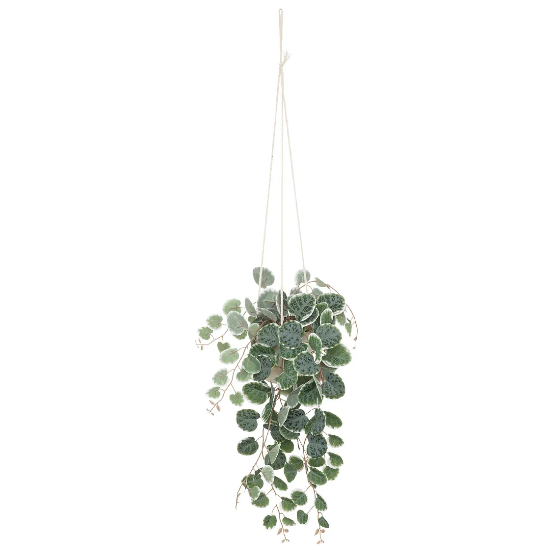 ATMOSPHERA Plante artificielle suspendue "Lourmarin" Outlet