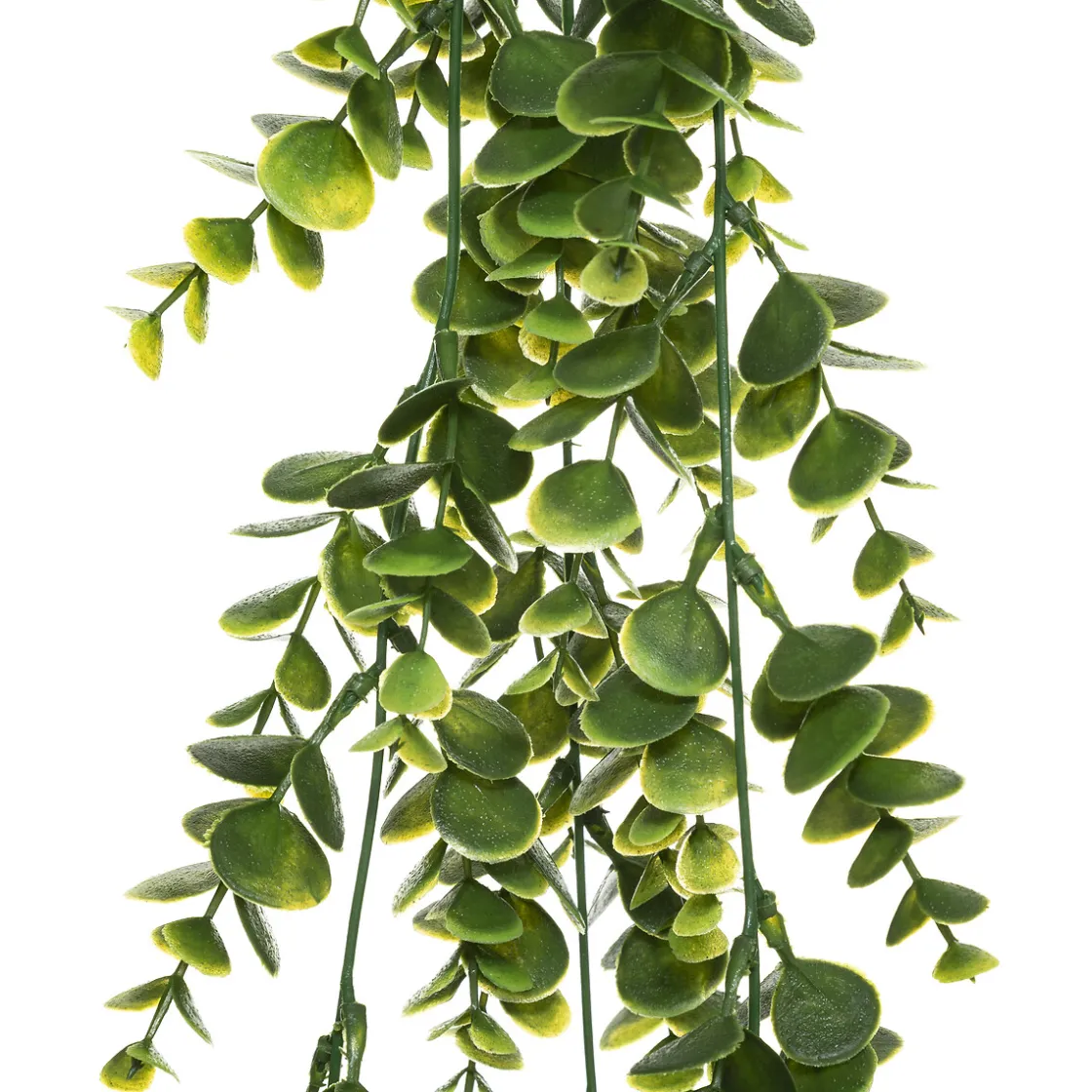ATMOSPHERA Plante artificielle tombante New