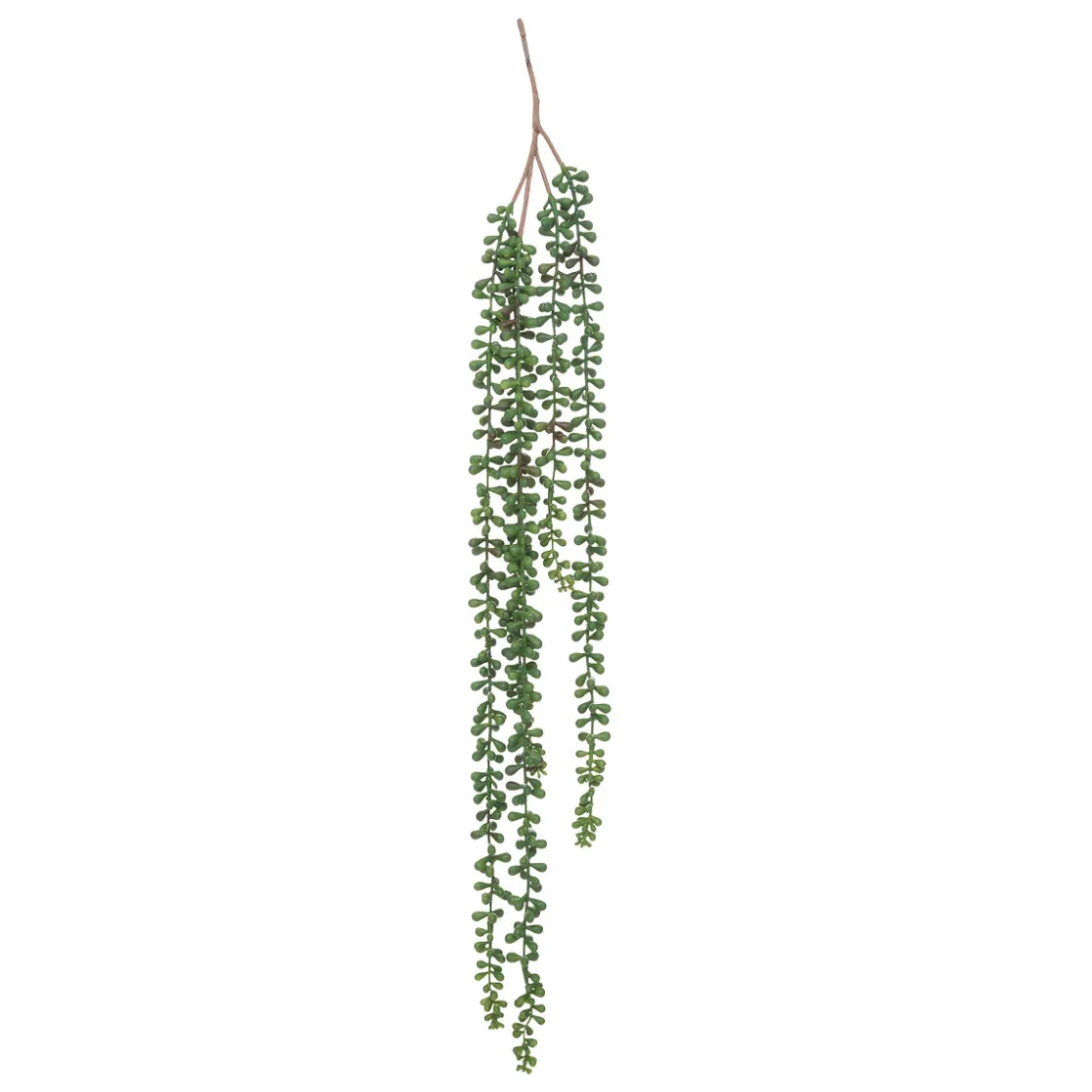 ATMOSPHERA Plante artificielle tombante de senecon New