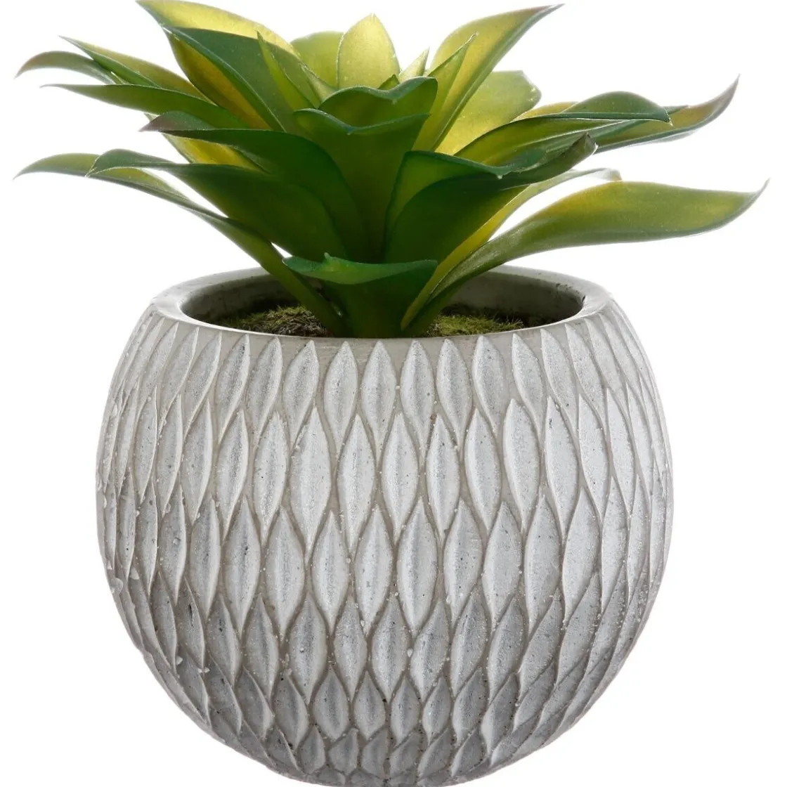 ATMOSPHERA Plante grasse artificielle Online