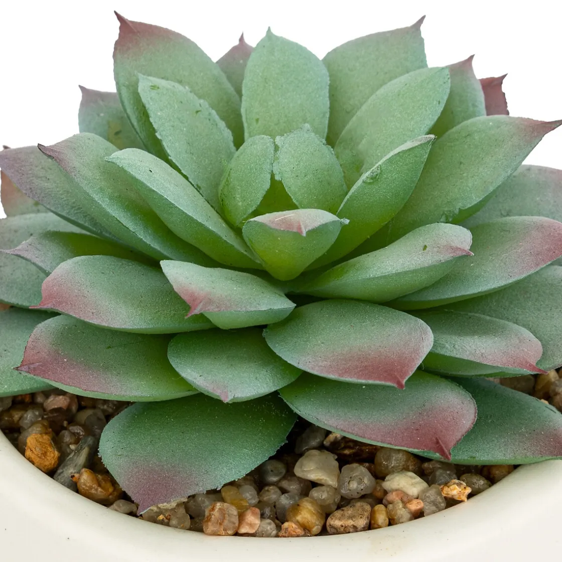 ATMOSPHERA Plante grasse artificielle "Nils" Best
