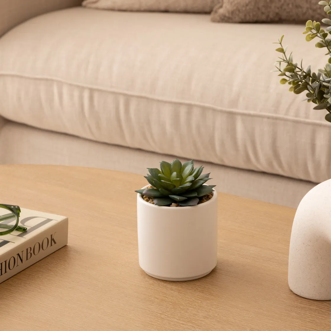 ATMOSPHERA Plante grasse artificielle "Nils" Best