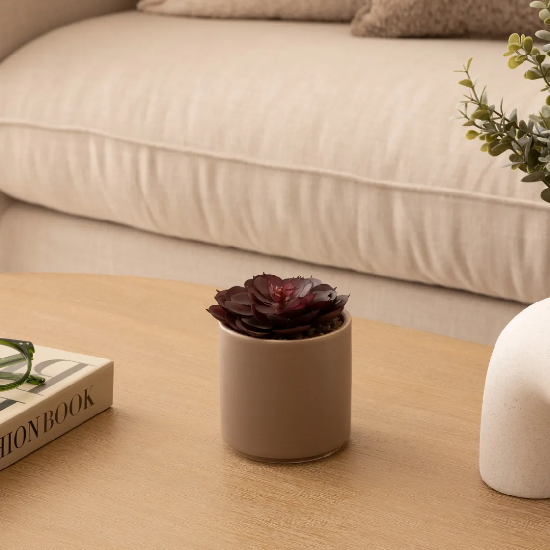 ATMOSPHERA Plante grasse artificielle "Nils" Best