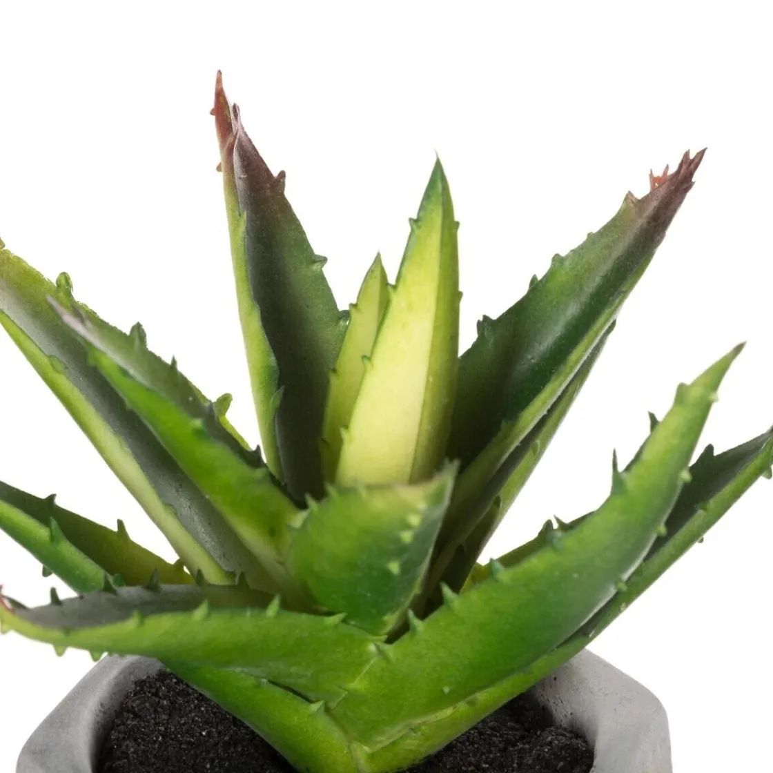 ATMOSPHERA Plante grasse artificielle Outlet