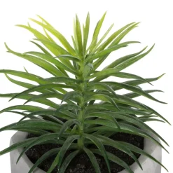 ATMOSPHERA Plante grasse artificielle Outlet