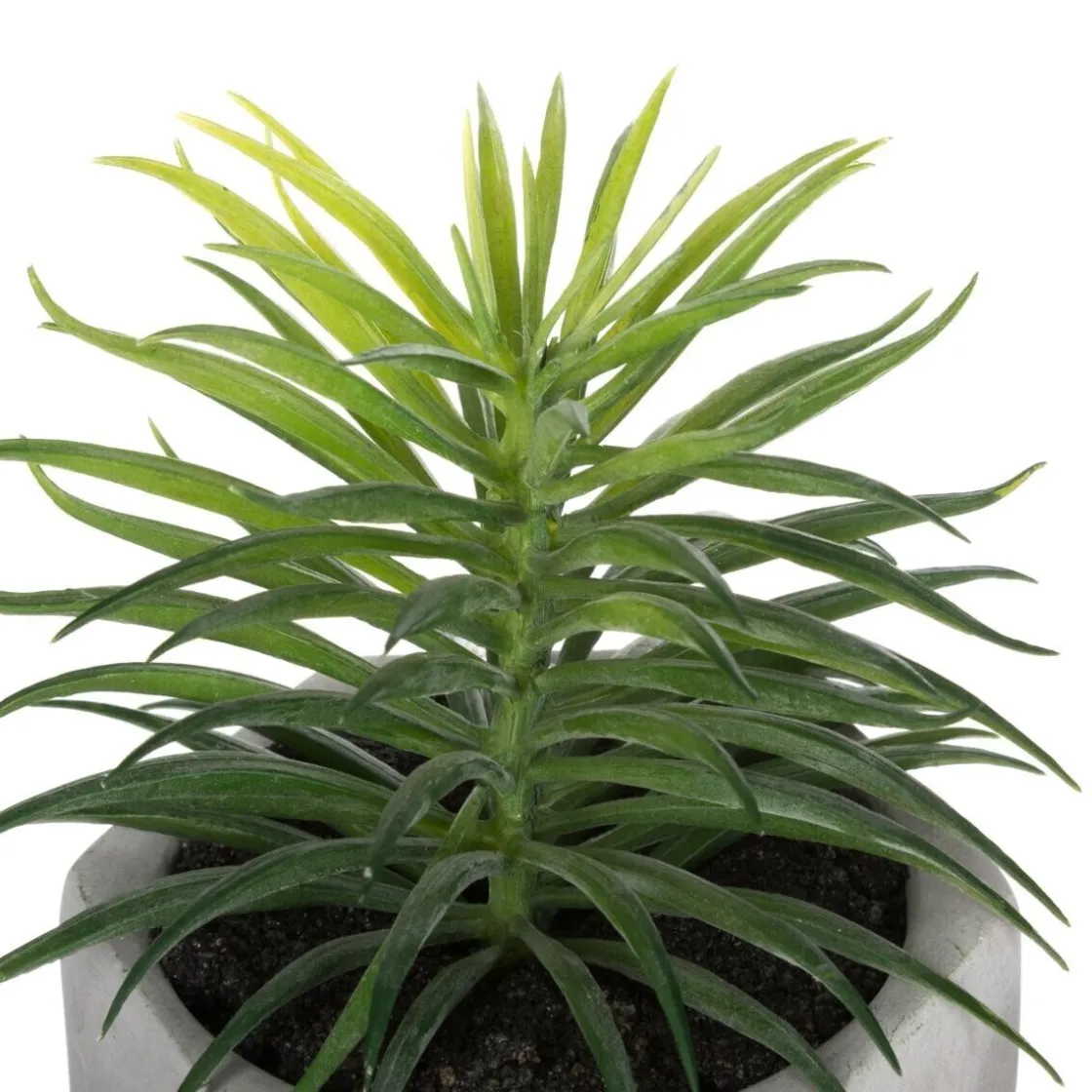 ATMOSPHERA Plante grasse artificielle Outlet