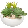 ATMOSPHERA Plante grasse artificielle New