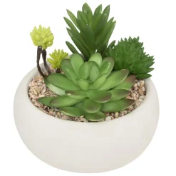ATMOSPHERA Plante grasse artificielle New