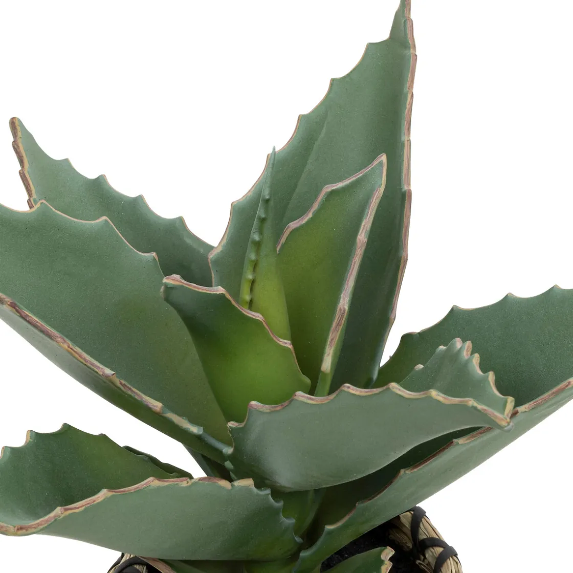 ATMOSPHERA Plante Samouraï articifielle "Pio"