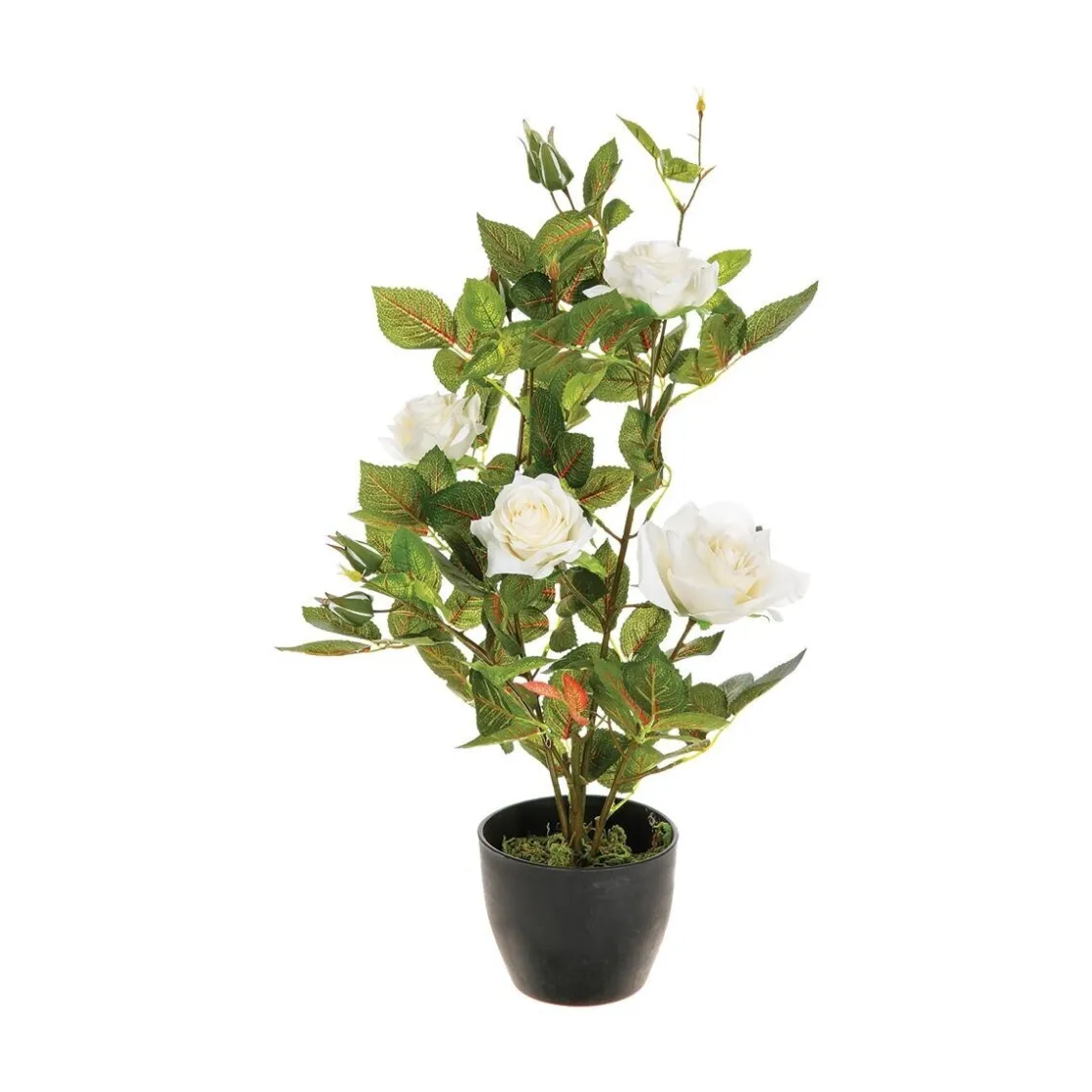 ATMOSPHERA Rosier artificiel