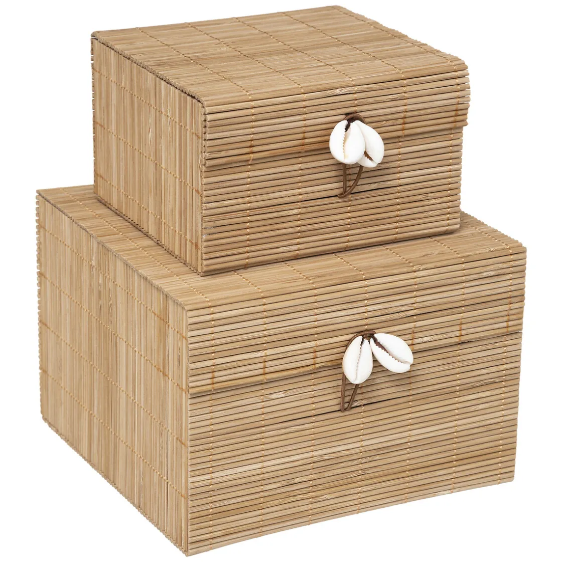 ATMOSPHERA Set de 2 boites "Tropiques" Discount