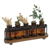 ATMOSPHERA Soliflore 5 fleurs Outlet