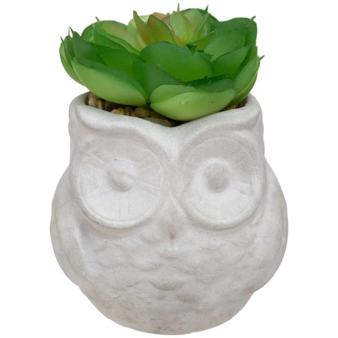 ATMOSPHERA Succulente artificielle Best