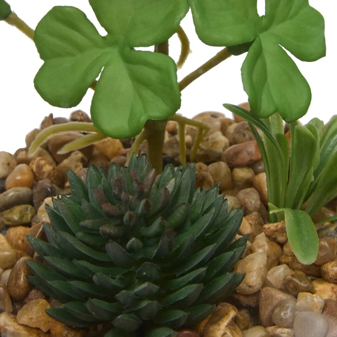 ATMOSPHERA Terrarium "Wilo" Outlet