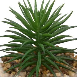 ATMOSPHERA Terrarium